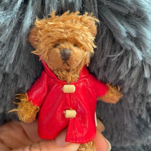 Säg det med en mininalle